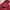 Element Vintage Streetwear Hoody Pria red black photo 2