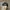 Vintage Y2K Hat Pria black photo 3
