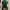 H&M Casual Shirt Wanita green photo 4