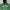 Russell Athletic Vintage Hoody Pria green photo 1