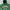 Russell Athletic Vintage Hoody Pria Green
