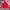 Adidas Streetwear Sportswear Track Jacket Pria Red