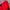 Adidas Streetwear Sportswear Track jacket Pria red photo 2