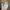 Y2K Casual Hat Pria multicolor photo 2
