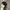 LRG Skater Sportswear Hat Pria black photo 5
