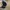LRG Skater Sportswear Hat Pria black photo 4