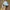 Mountain Hardwear Streetwear Y2K Hat Pria multicolor photo 2