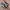 Y2K Luxury Sneakers Wanita white black photo 1