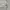 Dickies Casual Hoody Pria gray photo 4