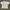Gildan Vintage Grunge T-shirt Pria white photo 5
