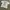Gildan Vintage Grunge T-shirt Pria white photo 6