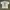 Gildan Vintage Grunge T-shirt Pria white photo 2