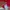 Emo Puffer jacket Pria red photo 3