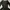 Luxury Lolita Casual dress Wanita black photo 2