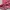 Lolita Coquette Wanita pink photo 4