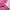 Lolita Coquette Wanita pink photo 2