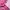 Lolita Coquette Wanita Pink