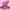 Lolita Coquette Wanita pink photo 1