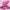 Lolita Coquette Wanita Pink