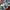 Grunge Indie Casual shirt Pria multicolor photo 7