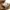 orSlow Vintage Streetwear Pria brown photo 6