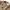 orSlow Vintage Streetwear Pria brown photo 5