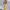 Nike Vintage Wanita yellow photo 2