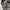 New Balance Sportswear Casual Tracksuit Pria white black photo 4