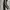New Balance Sportswear Casual Tracksuit Pria white black photo 1