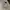 Casual Hoody Pria white photo 2