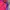 Deuter Streetwear Windbreaker Wanita purple pink photo 2
