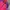 Deuter Streetwear Windbreaker Wanita Purple Pink