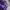 Deuter Streetwear Windbreaker Wanita purple photo 2