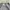 Carhartt Streetwear Skater Sweater Pria gray photo 4