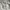 Carhartt Streetwear Skater Sweater Pria gray photo 5