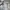 Oakley Streetwear Sportswear Boxer Pria gray photo 5