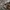 Oakley Streetwear Sportswear Boxer Pria gray photo 7