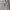 Ben Davis Streetwear Skater Hoody Pria gray photo 5