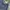 True Religion Streetwear Y2K Jeans Pria navy photo 4