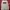 Patagonia Streetwear T-shirt Pria white photo 1