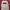 Patagonia Streetwear T-shirt Pria White