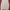 Patagonia Streetwear T-shirt Pria white photo 2