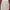 Patagonia Streetwear T-shirt Pria White