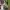 Gorpcore Track jacket Pria green photo 4