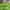 Gorpcore Track jacket Pria green photo 6