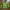 Gorpcore Track jacket Pria green photo 1