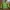 Gorpcore Track Jacket Pria Green