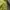 Gorpcore Track jacket Pria green photo 7