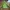 Gorpcore Track jacket Pria green photo 2