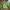 Gorpcore Track Jacket Pria Green